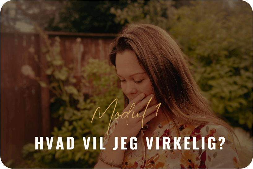 11. hvjv modul1