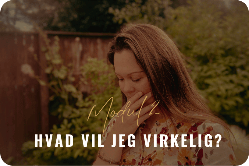 11. hvjv modul1