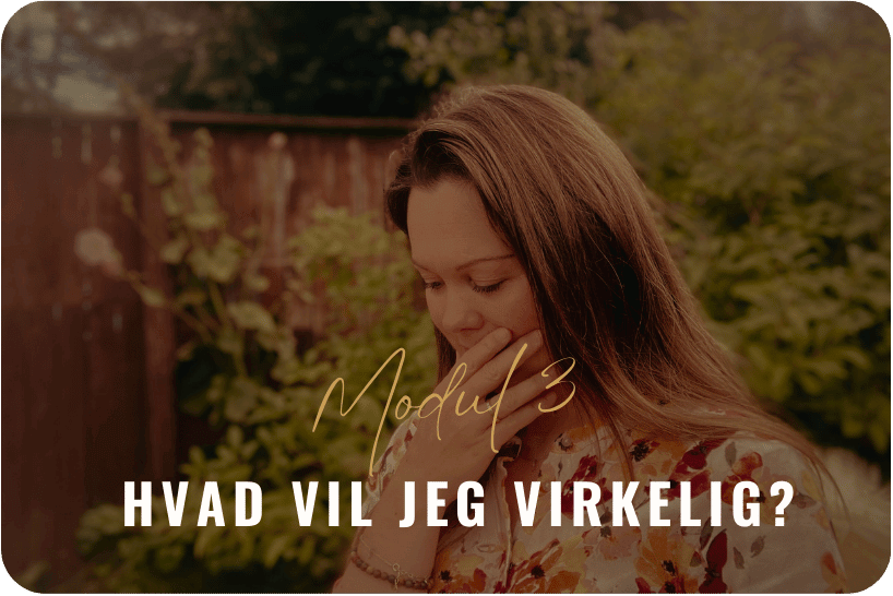 11. hvjv modul1